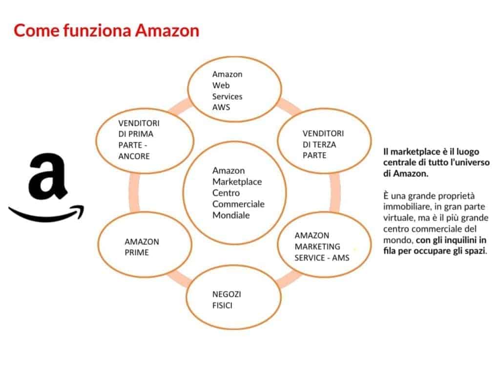 comprendere Amazon | M101