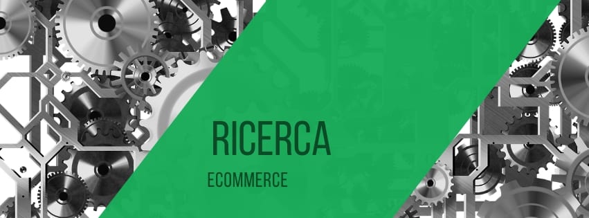 ricerca-ecommerce