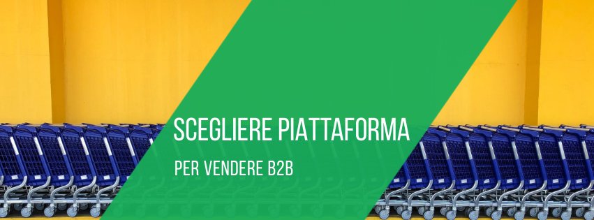 scegliere-piattaforma-ecommerce-b2b