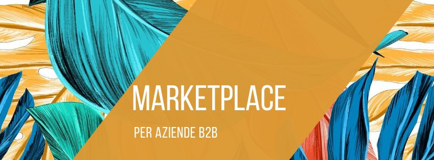aziende-b2b-marketplace-strategia-commerciale