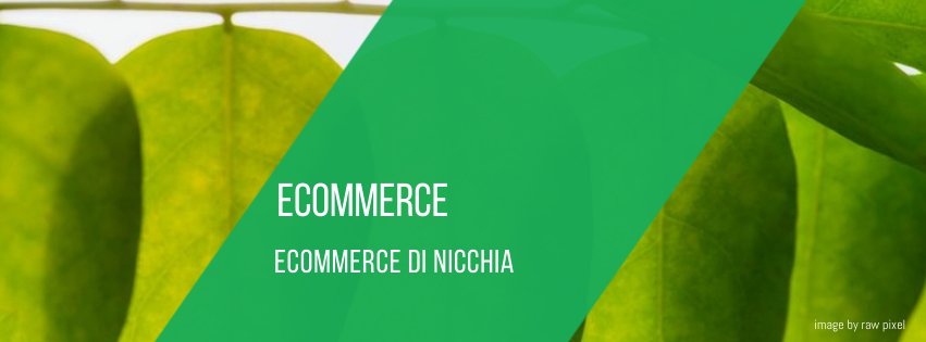 ecommerce-di-nicchia