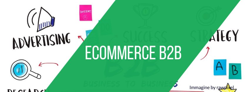 ecommerce-b2b